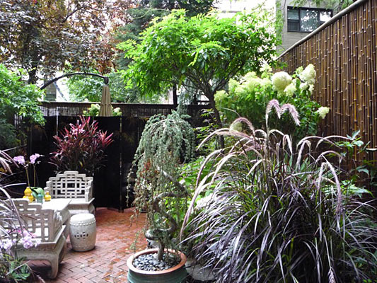 Horticulture- container plantings in yard