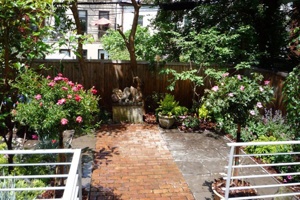 Urban yard- flowering plants