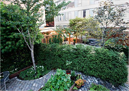 Trees, shrubs and cobblestones in urban yard