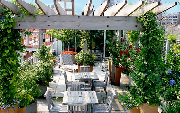 Horticulyure