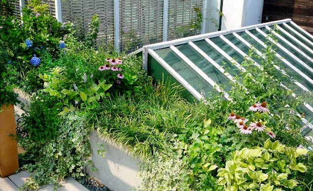 rooftop planting around skylight