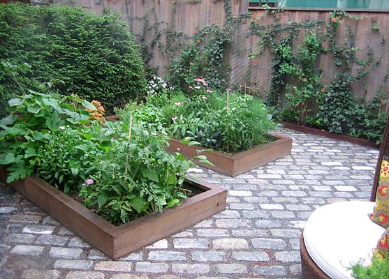 Vegetable garden