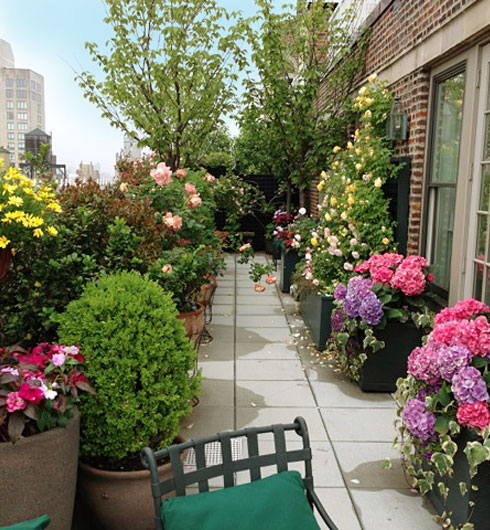 terrace garden